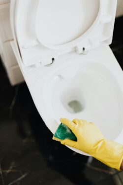cleaning toilet
