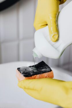 soap and sponge